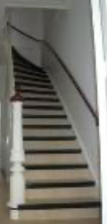 Kaketoe Bar arkadaşım resim: 1