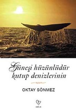 Bir zamanlar Kuzey Denizi limanlarında... resim: 1