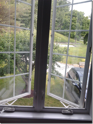 'Yıldızlı geceler ve yeşillikler diyarı Vermont günlerimden' resim: 8