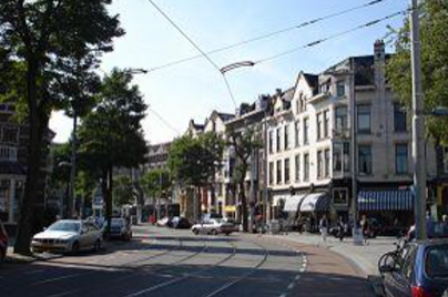 Kaketoe Bar arkadaşım resim: 2