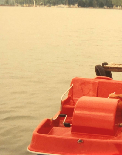 Doğanın armağanı: Lake Balaton resim: 2