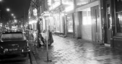 Kaketoe Bar arkadaşım resim: 0