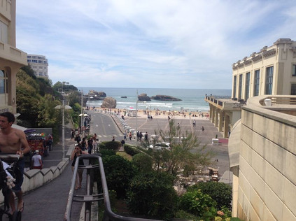 Barbus Crypus (Şabut) resim: 1