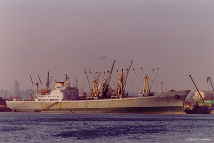 Hollanda günlerimden… resim: 0