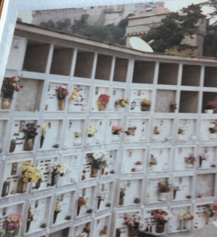 Panoramik yollardan Portofino’ya resim: 10