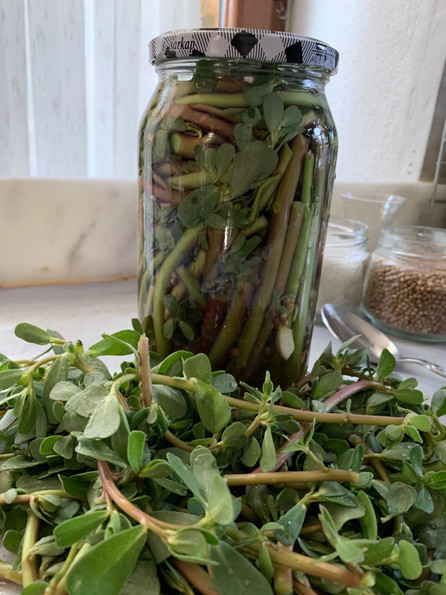 Faydaları saymakla bitmiyor! İşte şef Gülhan Kara'dan en lezzetli semizotu turşusu tarifi resim: 2