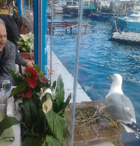 Boğaz’ın anılarda kalan balıkları resim: 5