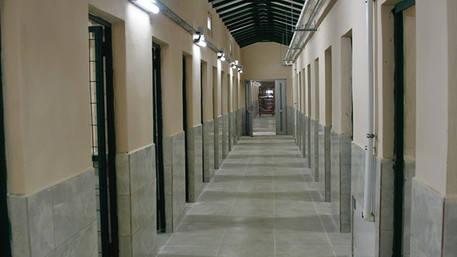 Sokak Hayvanlarına Beş Yıldızlı Otel Konsepti resim: 1