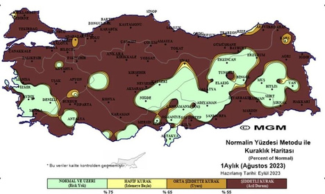 Son 33 yılın en kurak ağustosu! Hangi bölgeler için ‘acil durum’ ilanı verildi? resim: 1