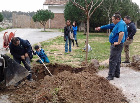 İzmir Doğal Yaşam Parkı resim: 6