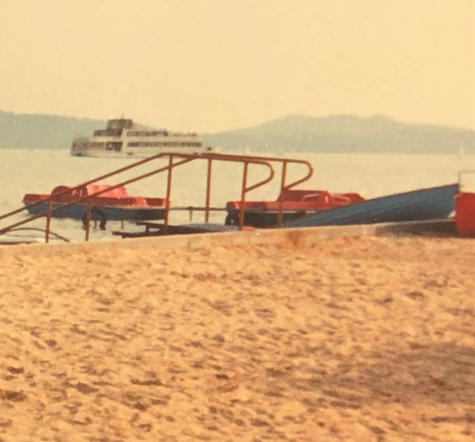 Doğanın armağanı: Lake Balaton resim: 3