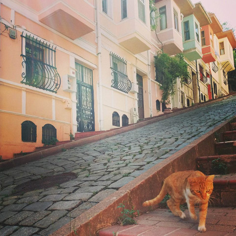 İstanbul'da Para Harcamadan Yapılabilecek Aktiviteler resim: 0