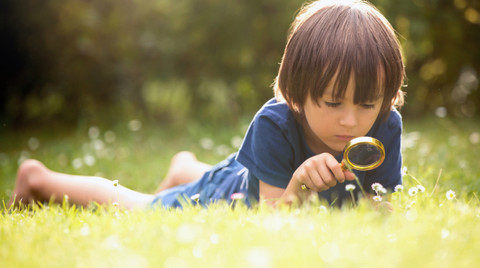 Merak ederek gelişen çocuklar yetiştirin