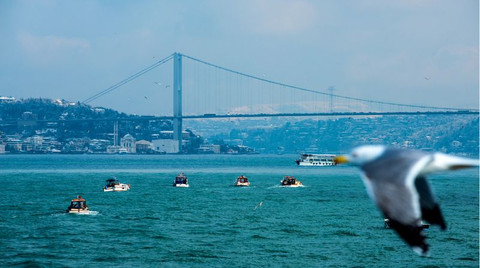 Boğaz’ın anılarda kalan balıkları