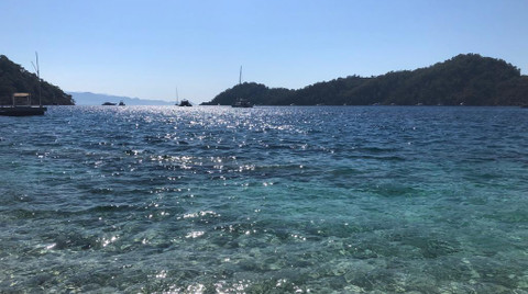 Just on the ground (Gemi karaya oturdu)