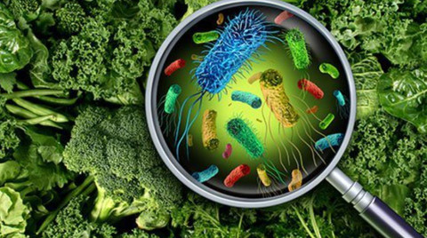 Besin zehirlenmelerine karşı dikkat!