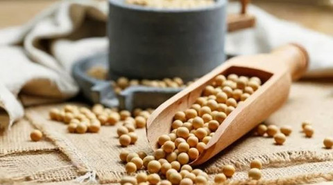 Kanserde soyaya dikkat! İşte dikkat edilmesi gerekenler...