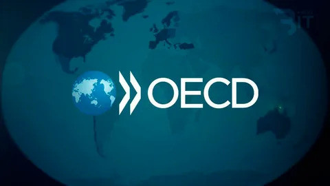 OECD'den Türkiye Ekonomisi İçin Yeni Tahminler! İşte Büyüme ve Enflasyonda Son Durum! resim: 0