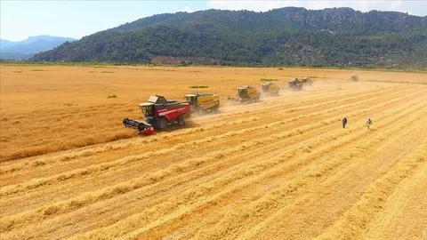 Çiftçinin Eylül Enflasyonu: Tarım ÜFE Yıllık Yüzde 46,83 Arttı! resim: 0