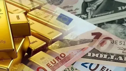 Ünlü Ekonomist Açıkladı: Euro’da Yükseliş Kaçınılmaz! Yıl Sonu Dolar, Euro ve Gram Altın Tahminleri  resim: 0