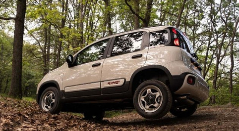 Özel sürüm Fiat Panda geliyor! Sınırlı sayıda üretilecek resim: 0