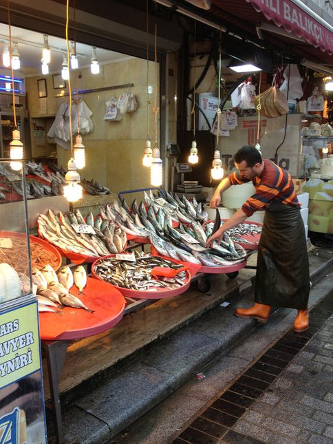 ‘Posidonia’ resim: 1