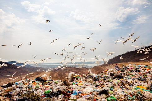 Bu da bir başka savaş: Kentleşme, çöp dağları ve katı atık yönetimi... resim: 2