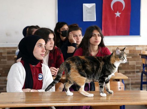 Beş ay önce liseli oldu! 'Turşu' okulu öğrenciler de onu çok sevdi!  resim: 0