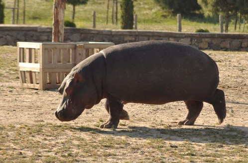 İzmir Doğal Yaşam Parkı resim: 7