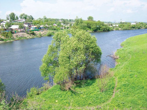 Yasnaya Polyana resim: 1