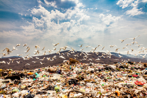 Bu da bir başka savaş: Kentleşme, çöp dağları ve katı atık yönetimi... resim: 4