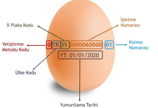 Yumurtanın organik olduğu nasıl anlaşılır? resim: 1