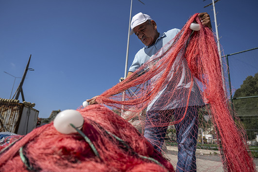 Balık sezonu açılıyor: Hamsi ne kadar olacak? resim: 1