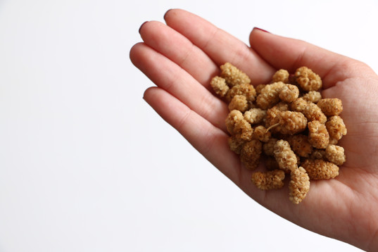 Kadın Girişimci Dut İle Önce Türkiye'yi Sonra Avrupa'yı Hedefliyor resim: 0