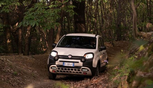Özel sürüm Fiat Panda geliyor! Sınırlı sayıda üretilecek resim: 1