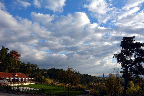 Çocuklar Büyüdü, Şimdi Kendi İşimi Kurma Zamanı! resim: 1