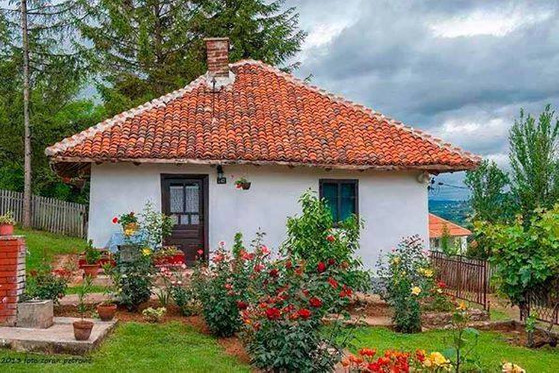 Şiir ve Şairler Üzerine resim: 0