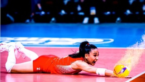 Başarı Sanatı resim: 0