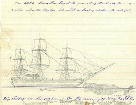 Nantucket Adası, Essex gemisi ve öfkeli balina resim: 2