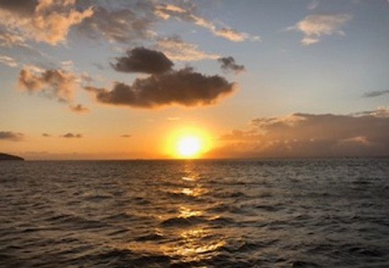 Eski Heybeliada Mimarisi ve Köşkleri resim: 16