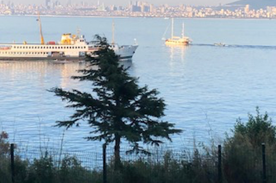 Eski Heybeliada Mimarisi ve Köşkleri resim: 18