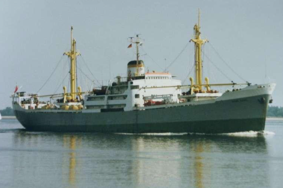 Fethi Denizmen yazdı: Kurtlar kaynıyor mu? resim: 0