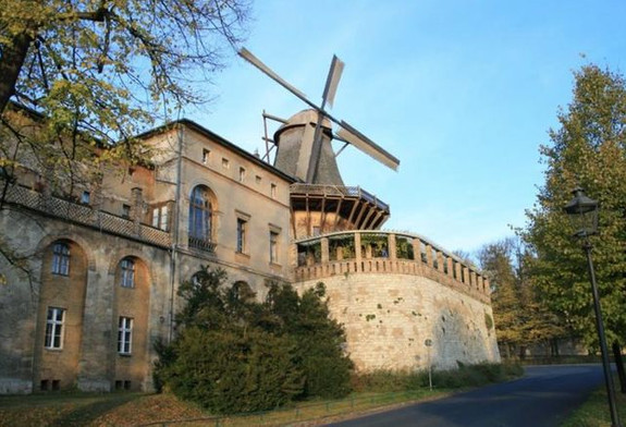 Saray, Kral ve Yel Değirmeni resim: 6