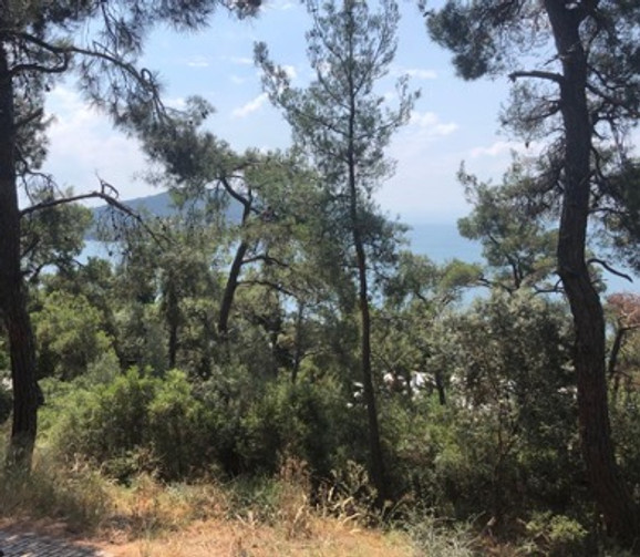 Eski Heybeliada Mimarisi ve Köşkleri resim: 19