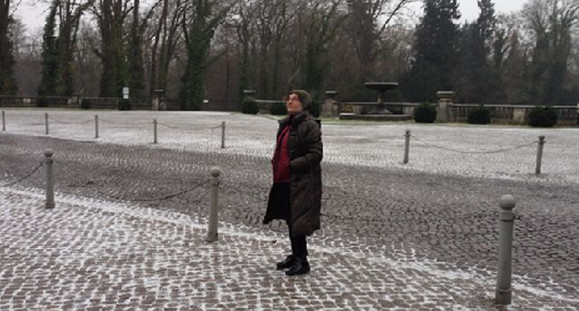 Saray, Kral ve Yel Değirmeni resim: 2