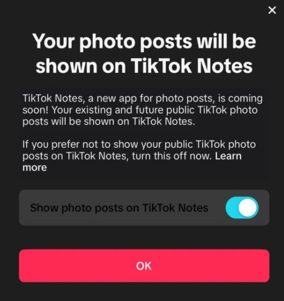 Tiktok'tan Instagram'a rakip uygulama: TikTok Notes resim: 0