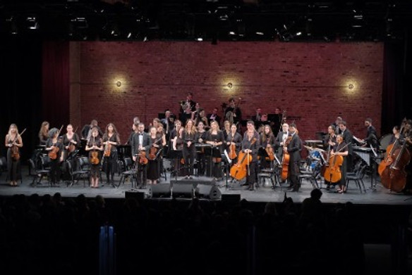 Müziği Hissettiren Sıra Dışı Bir Orkestra Şefi     resim: 1