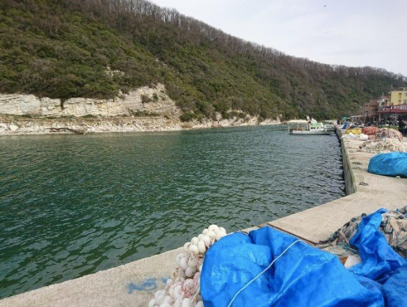 Ve durgun akardı Göksu Nehri resim: 2