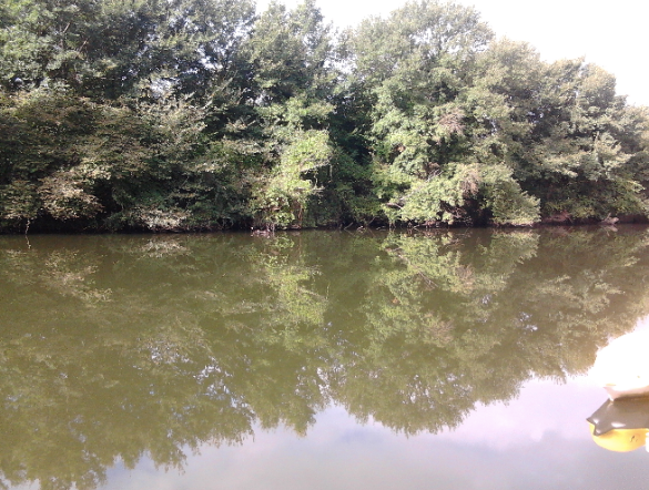 Ve durgun akardı Göksu Nehri resim: 1