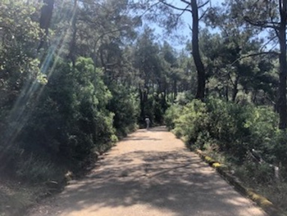 Eski Heybeliada Mimarisi ve Köşkleri resim: 20